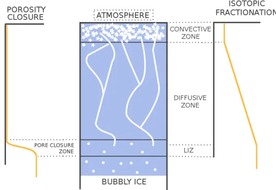 Figure 2.14 – Schematic of a polar firn column. The right side curve illustrates the isotopic fractionation of an inert gas in the di ff usive zone, and the plateau reached in the LIZ