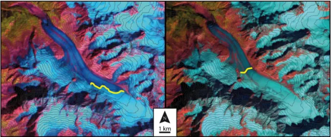 Figure  1:  Examples  of  the  snow  line  identification  (in  yellow)  on  the  Glacier  d’Argentière