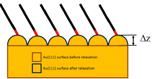 Figure 3. Schematic representation of the SAM structure showing the elevation distance  of the upper layer atoms defined by (z)