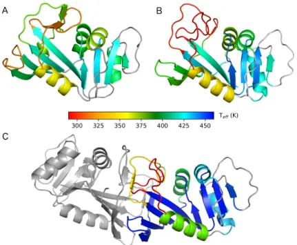 Fig. 6 Local stability: melting of secondary structure elements. Enzyme structures where each secondary structure element is colored according to its melting temperature, estimated individually for each of them using a RMSD cutoff of 2.5 Å (see Supplementa