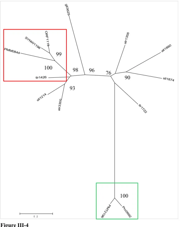 Figure III-4