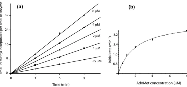 Figure  1  (Supplementary  Material):  Determination  of  the  catalytic  parameters  of  wild  type  thTrmI enzyme