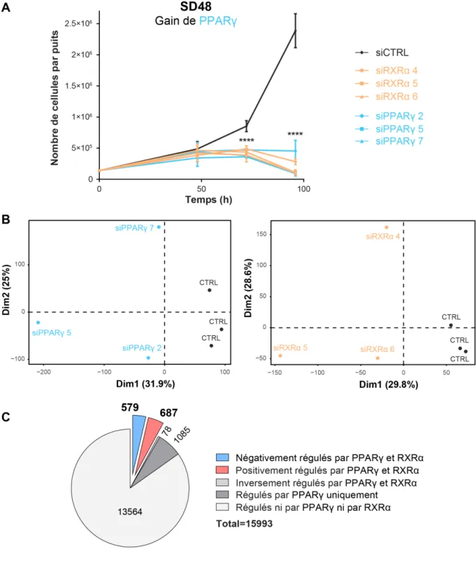 Figure 9 : Gènes différenciellement exprimés après extinction de l’expression de  PPARγ et RXRα 