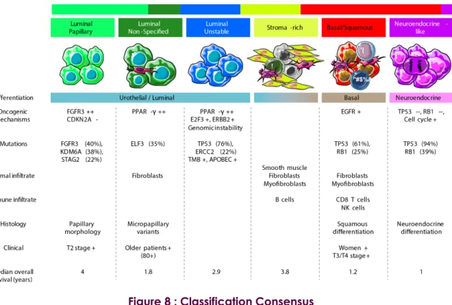Figure 8 : Classification Consensus 
