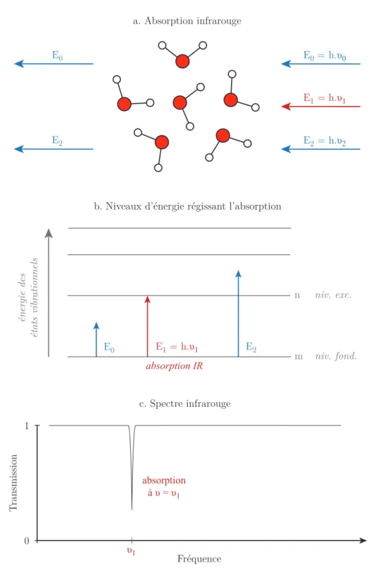 Figure 2.2 – Principe de la spectroscopie d’absorption infrarouge (d’après Schrader (1995) et Rull (2012))