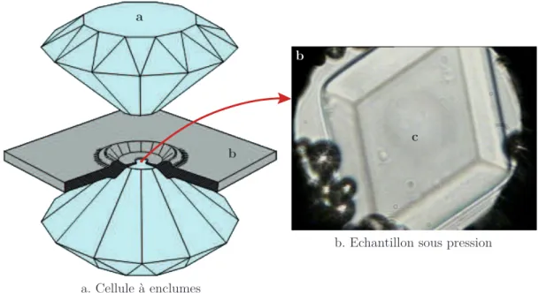 Figure 2.4 – Cellule à enclumes de diamant. a. Schéma de principe des cellules à enclumes (image : Technische Universität Darmstadt)