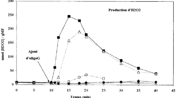 Figure  2:  Burst  oxydatif  chez  L.  digitata  en  réponse  à  l'élicitation  par  des  doses  croissantes  d'oligoguluronates, d'après (Küpper et al., 2001)