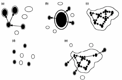 Figure i.6. Représentation schématique des différents types de métapopulation définis  par Harrison &amp; Hastings (1996) d’après la définition du modèle initial de Levins (a) ;  (b) le modèle ‘continent-îles’ ou ‘source-puits’  ; (c) le modèle ‘population