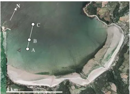 Figure II.27. Photographie aérienne de la plage de Saint Efflam, avec les trois stations de la  radiale matérialisées par des ronds blancs (A : 48°N40,753 – 3°W36,411 à C : 48°N40,877 –  3°W36,362) 