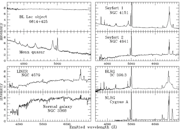 Figure 1.5: Optical spectra of various kinds of active galactic nuclei.