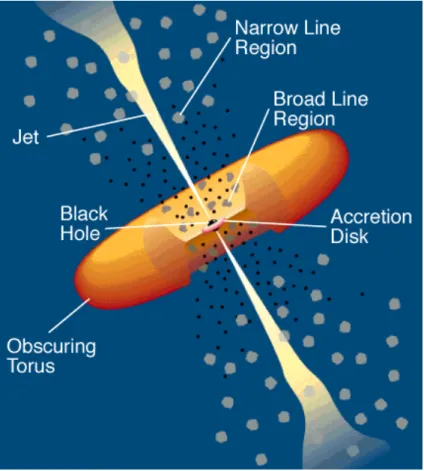 Figure 1.7: Uniﬁcation scheme for the type 1 and 2 Seyfert galaxies (Urry &amp;