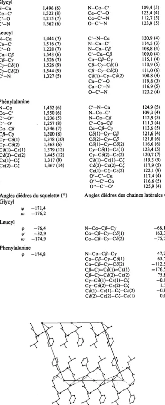 Fig.  1.  Projection  de  rarrangement  mol6culaire  selon  l'axe  c.  Les  liaisons hydrog~ne sont repr6sent6es en pointill6s