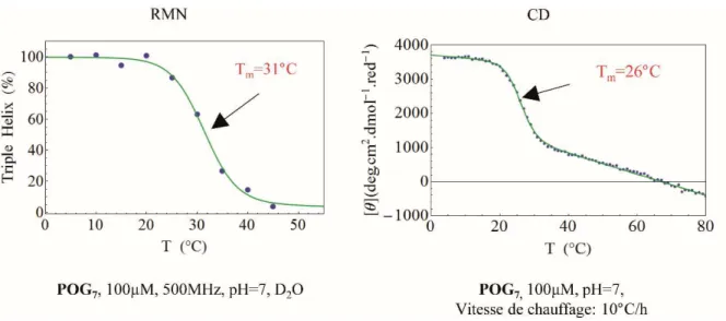 Figure 16: Comparaison des températures de fusion de la triple hélice obtenues par RMN et CD 