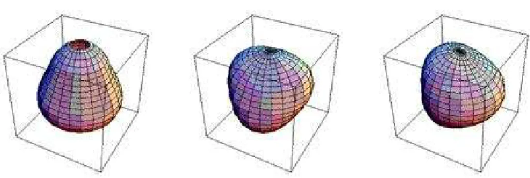 Figure 1.5: Three stellar pulsation modes, the first on the left is the first dipolar axisymmetric mode { ℓ = 1, m = 0 } .