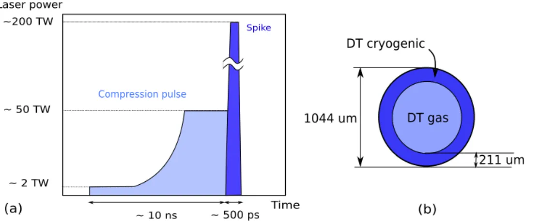 Figure 1.11: Typical laser pulse and target for the shock ignition scheme with a HiPER target design.