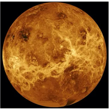 Figure 1.6 – Mosaïque en fausses couleurs de la surface de Vénus tirée des données radar de la sonde Magellan.