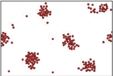 Figure  24 :  Simulation  d’un  modèle  de  «  particules  browniennes  en  interaction»