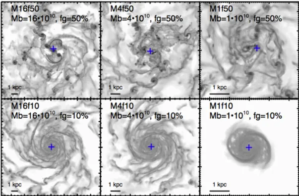 Figure 1.5: Simulated disk galaxies from the local (bottom) and distant (top) Universe seen face-on