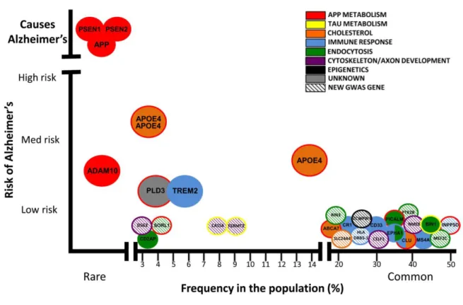 Figure 9. Facteurs de risque pour la maladie d’Alzheimer 