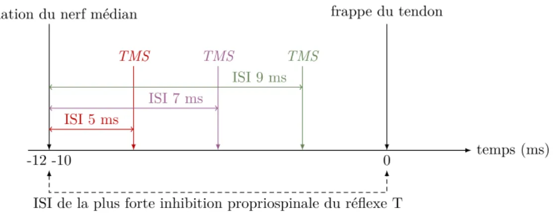 Figure 5.1. : Schéma des différentes configurations de stimulation du protocole 2. L’ISI entre la stimulation du nerf médian et la frappe du tendon permettant la plus forte inhibition propriospinale du réflexe T est d’abord recherchée (entre 10 et 12 ms se