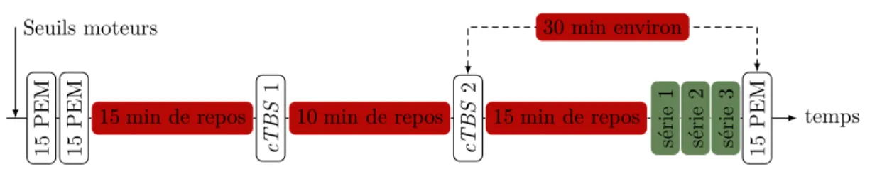Figure 5.3. : Déroulement chronologique du protocole 4. Les seuils moteurs de l’ECR sont effectués en contraction et au repos