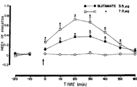 Figure 17 | Effet de l’injection de glutamate dans l’APN sur la réponse comportementale  en test de tail-flick (d’après Prado, 1989)