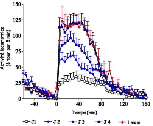 Figure 3.  Exemple de sensibilisation comportementale à l’amphétamine (2mg/kg, i.p, une  injection par jour pendant quatre jours) chez la souris C57Bl/6J