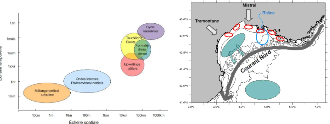 Fig. 2.4 – Golfe du Lion : a) ´echelles spatiales et temporelles des processus hydrody- hydrody-namiques (inspir´e par Stommel (1963); Dickey (1991, 2003)) ; b) localisation sch´ematique de la zone de dilution du Rhˆone (ovale bleu), des cellules d’upwelli