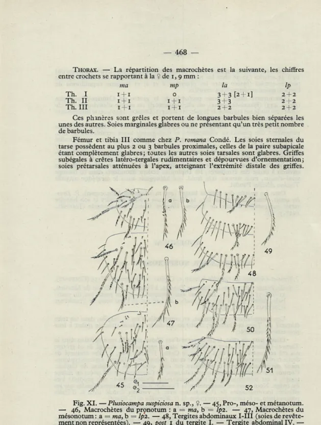Fig.  XI.  —  Plusiocampa suspiciosa n.  sp.,  2.  — 45, Pro-, méso- et métanotum. 