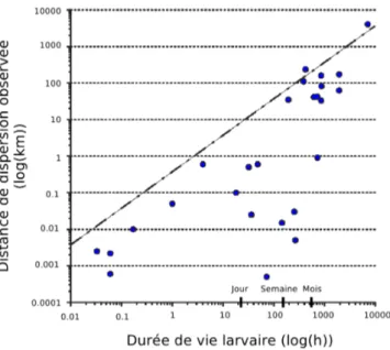 Figure I.8 – Relation entre la dur´ee de vie larvaire et la distance de dispersion observ´ee (´echelle logarithmique)