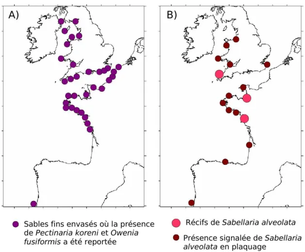 Figure I.33 – Distribution des trois esp`eces cibles en Atlantique Nord-Est : (A) s´ediments