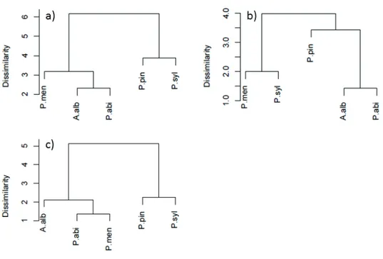 Figure S 3.1 – Hierarchical classification of species based on key parameters without Vcmax