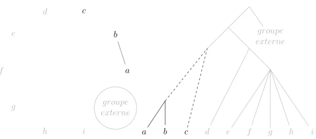 Figure 4.5. Déroulement de l’algorithme OneTree (suite). De la même façon que le taxon d s’est trouvé isolé dans l’ensemble des taxons d à i (voir figure 4.4), le taxon c se trouve ici isolé des taxons a et b