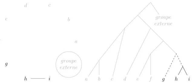 Figure 4.7. Déroulement de l’algorithme OneTree (suite et fin). La dernière composante à plus de deux taxons est enfin décomposée en deux sous-arbres