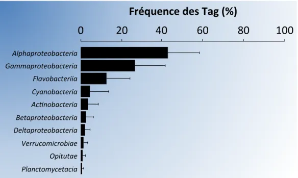 Figure   3   :   Contribution   des   groupes   bactériens   majeurs   à   la   composition   de   la   communauté   bactérienne   pélagique   globale