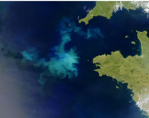Figure   13   :   Photo   satellite   d’une   efflorescence   phytplanctonique   de   coccolithophores,   responsable   de   la   coloration   de   l’eau    au   large   de   la   Bretagne