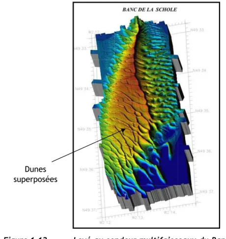Figure 1.12 Levé au sondeur multifaisceaux du Banc de la Schôle (SHOM). 