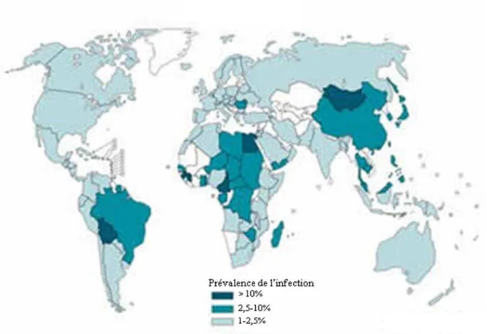 Figure 1 : Prévalence mondiale de l infection par le VHC (Source : OMS) 