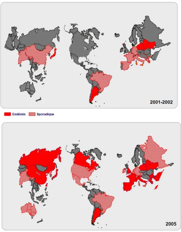 Figure    3   :    Evolution    de    la    dissémination    des    souches    productrices    de    BLSE    de    type    CTX-­‐M    dans   le   monde   entre   2001   et   2005