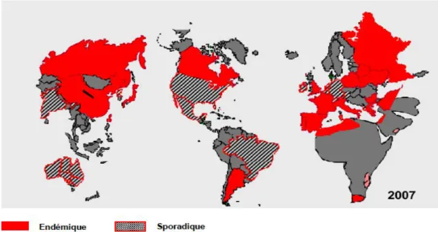 Figure   6:   Situation   épidémiologique   des   E.coli   BLSE   dans   le   monde   en   2007         