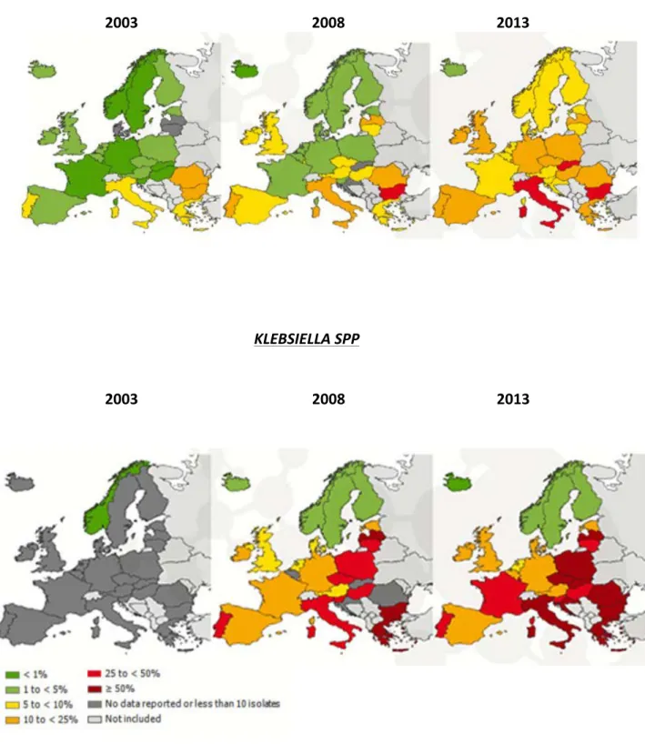 Figure   7   :   Evolution   du   taux   d’E.coli   et   de   K.pneumoniae   résistants   aux   C3G   de   2003   à   2013    en   Europe        E.COLI                                                                                               2003      