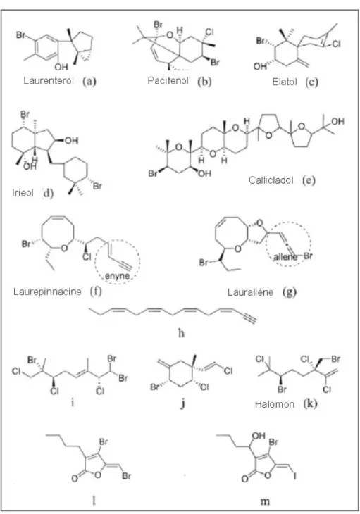 Figure  14  :  Représentation  des  structures  chimiques  des  composés  naturels  produits  par  les  Rhodophytes