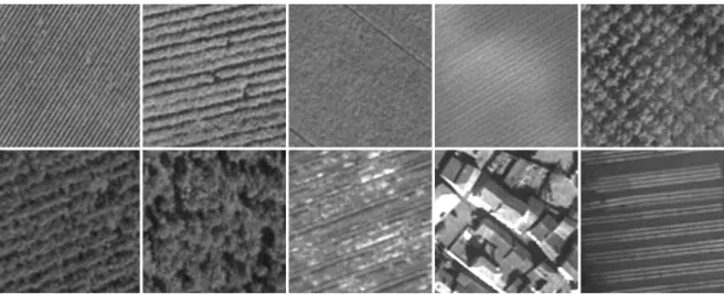 Figure I.1 : Exemples d’occupations du sol texturées dans les images optiques THR. 