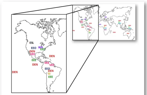 Figure 9 – Carte non exhaustive des arbovirus pr´ esents en Am´ erique et dans le monde