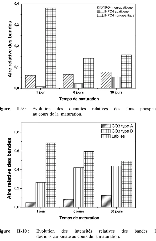 Figure II-9  : Evolution des quantités relatives des ions phosphate                                 au cours de la  maturation