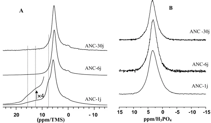Figure II-12: Spectres  1 H SPE-MAS (A) et  31 P SPE-MAS (B) des apatites obtenues à                          différents temps de maturation