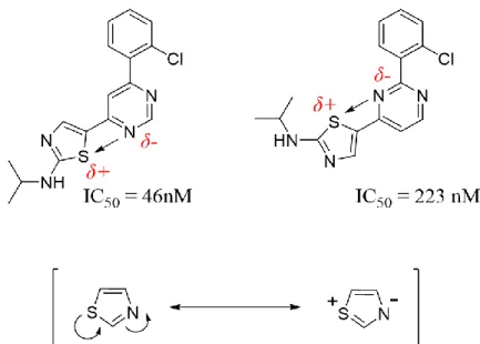 Figure 19. The effect of thiazole on the conformation of drugs. 