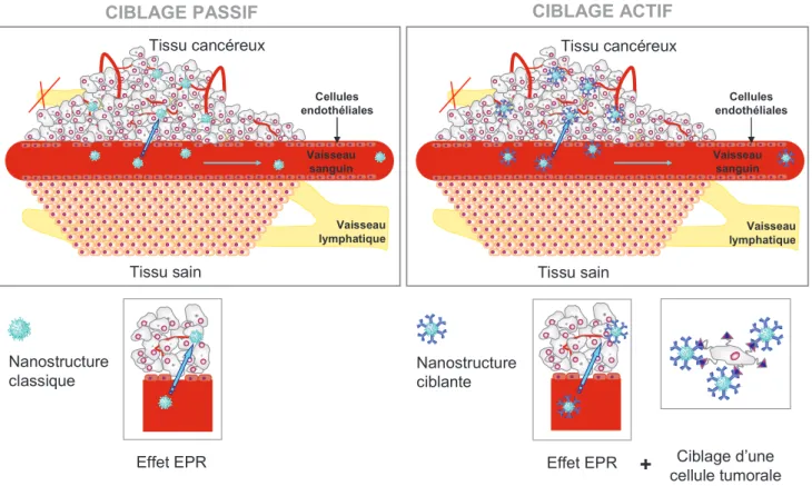 Figure I.8. Représentation de la complémentarité des ciblages passif et actif. Adaptée de Orive et al., 2010