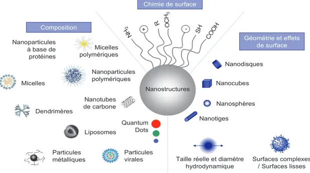 Figure I.9. Nanoparticules et leur caractéristiques bio-physico-chimiques affectant leur performance in vitro et in vivo