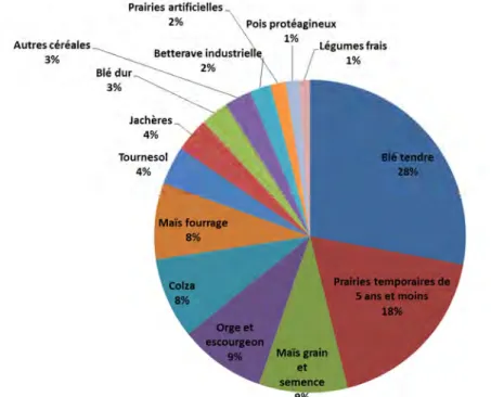 Figure 10-1-3. Part des différentes grandes cultures à l’échelle de la France en 2010 (en % de la SAU)  (Source : Recensement Agricole) 